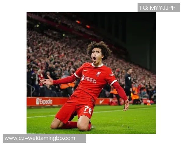 2000后崛起的足球新星：聚焦年轻球员的突破与未来潜力