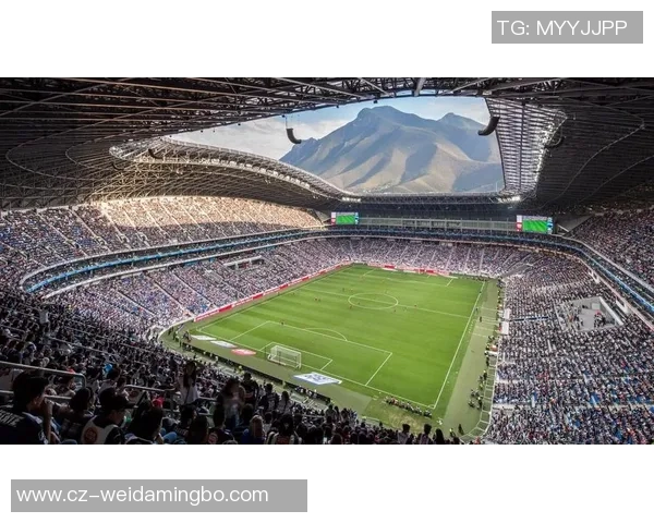 全球足球明星技术风采与球场位置分布深度解析